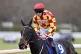 Frontier Prince before the Pertemps Network Challenger Two Mile Hurdle Series Final Handicap Hurdle at Haydock Park Racecourse, Newton-le-Willows, April 4, 2026