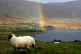REFORM OVERDUE: A view of the Scottish isle of Harris