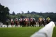 A general view of runners in the Silver Wokingham Handicap during day five of Royal Ascot at Ascot Racecourse