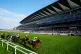 Trooper Bisdee ridden by Luke Morris leads on the opening lap of the Queen Alexandra Stakes during day five of Royal Ascot at Ascot Racecourse, Berkshire, June 21, 2025