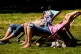 Visitors to Green Park, London, enjoy the sunshine, May 22, 2026