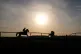 newmarket