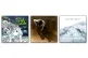 SJ albums