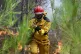 A firefighter creates a controlled burn to contain a fire area near Lege-Cap-Ferret, during wildfires in southwestern France, July 30, 2026