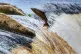 A fish leaps on the weir of the River Tyne at Hexham in Northumberland as it travels upstream to spawn, September 15, 2021