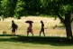 People walk in the shade through Ely Park. A rare red warning for extreme heat has been issued by the Met Office as the UK has sweltered in exceptionally hot and humid conditions. The heatwave, driven by a 