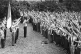 irish fascists