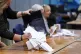 Ballot papers are removed from a ballot box at Fareham Leisure Centre in Fareham, Hampshire, during the count for the Fareham and Waterlooville constituency in the 2024 General Election, July 4, 2024