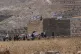 Israeli settlers put up Israeli flags on a Palestinian sturucture on the outskirts of the occupied West Bank city of Beit Sahour, August 14, 2026