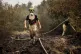 Firefighter work to extinguish wildfires at Hautes Fagnes near Waimes, Belgium