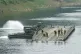 U.S. Army soldiers try to dismantle a floating bridge during a training exercise on a river in Yeoncheon, South Korea, near the border with North Korea, August 20, 2026