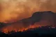 FILE IMAGE wildfires