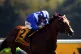 CONSISTENT: Naqeeb ridden by Tom Marquand at Haydock Park in 2023
