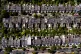 HOUSING