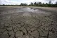 Drought in the New Forest