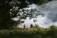 Firefighters tackle the fire at a major heathland blaze in the New Forest near Ringwood in Hampshire, August 10, 2026