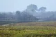 Firefighters spray water onto burnt ground at a blaze on heathland in the New Forest National Park near Ringwood in Hampshire, August 11, 2026