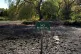 A view of the parched Falmer Pond in East Sussex, 11, 2026