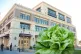 LETTUCE GATE: The headquarters of Taylor Farms in Salinas, California / Pic: Agarre16/CC, inset Dwight Sipler/CC