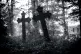 A cemetary [Pic: Denny Müller/Creative Commons]