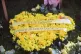 Tributes, flowers and photographs laid by a plaque during the Covid-19 Day of Reflection memorial event at Glasgow Green, marking the fifth anniversary of the Covid-19 pandemic, March 9, 2025