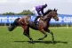 Tony Montana ridden by jockey Toby Moore goes to post in the Chesterfield Cup Handicap at Goodwood
