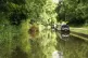 All kinds of surprising species can be found by the canal