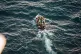 A boat carrying refugees off the coast of Libya as seen by t