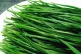 Garlic Chives