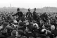 8Policeholbeck
