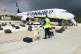 Security use a sniffer dog to check the luggage of passenger