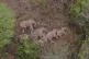 A migrating herd of elephants rests near the Xinyang Townshi