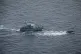 An overcrowded migrant boat, right, tries to escape from the