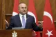 Turkish Foreign Minister Mevlut Cavusoglu speaks during a jo