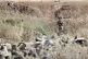 Israeli soldiers take positions along the border between the