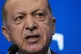 Turkey's President Recep Tayyip Erdogan speaks during a medi