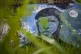 Grass grows around a mural of the late President Hugo Chavez