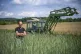 Ulf Allhoff-Cramer, farmer, stands in a rye field in front o