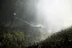 A forest fire rages south of Alvesta, Sweden, on June 6, 202