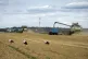 Storks walk in front of harvesters in a wheat field in the v