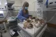 A nurse cares for prematurely born Palestinian babies that w