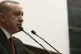 Turkish President Recep Tayyip Erdogan addresses an Algeria-