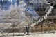 Israeli forces fire tear gas during a Palestinian demonstrat