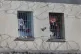 A prisoner in Korydalos prison watches a pigeon fly, western