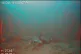 The body of one of the people who died in a shipwreck roughl