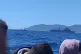 A photo taken by refugees on a boat in the Aegean sea within