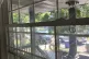 Bullet holes in the windows of Means TV founders Naomi Burto