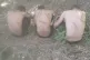 An image shared with Alarm Phone showing three of the roughl