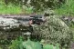 A PKK guerilla