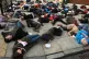Protesters take part in an Amnesty International die-in high